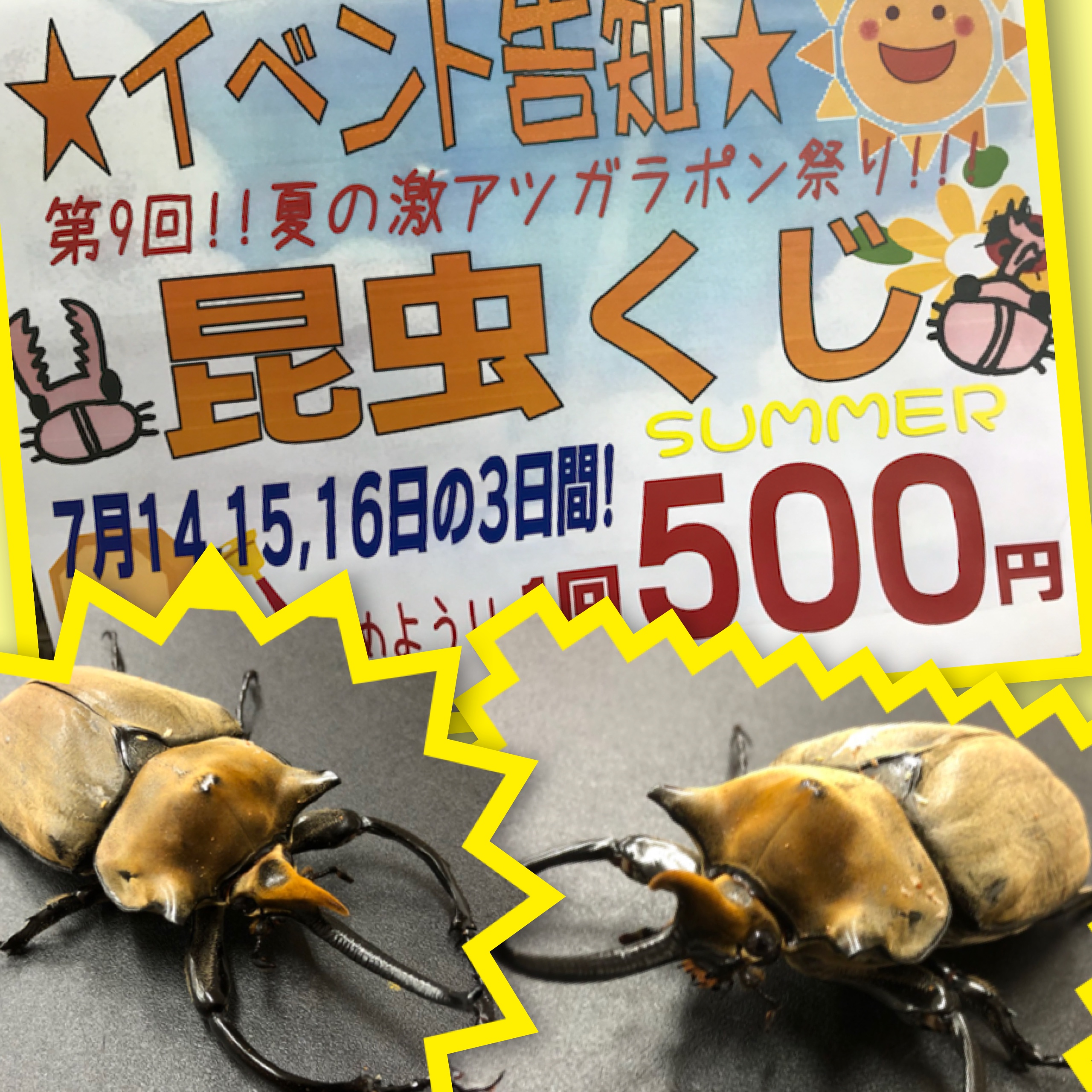 【インター小動物】3連休はインター店で昆虫くじで決まりッ！！！