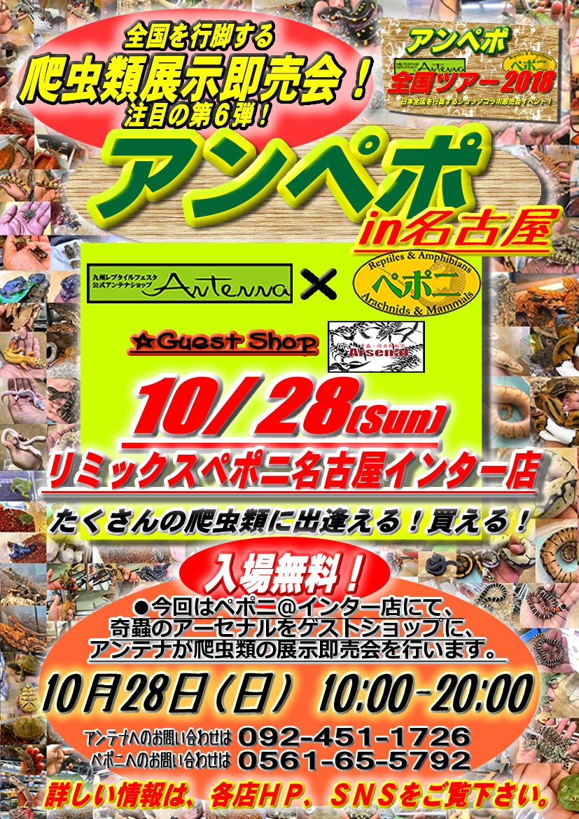 今週末のインター店は超濃厚♪日曜はアンペポ！１０/２８（日）はアンペポ in 名古屋インター店です！
