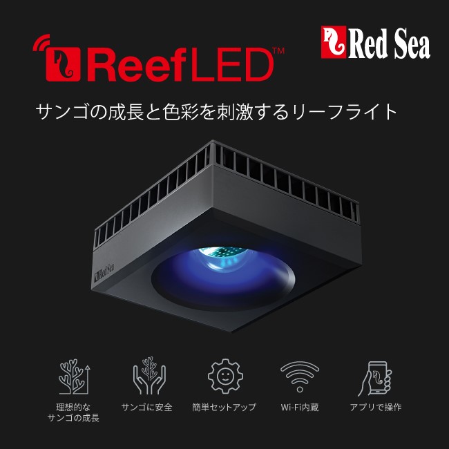 ReefLED発売!!!!!!!!!!