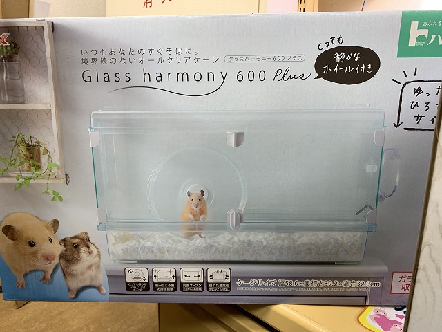 グラス ハーモニー 600