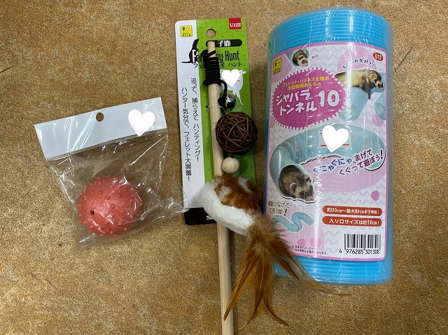 ☆飼育セット、フェレット編＿＿＿！！ | 名古屋のペットショップRemix