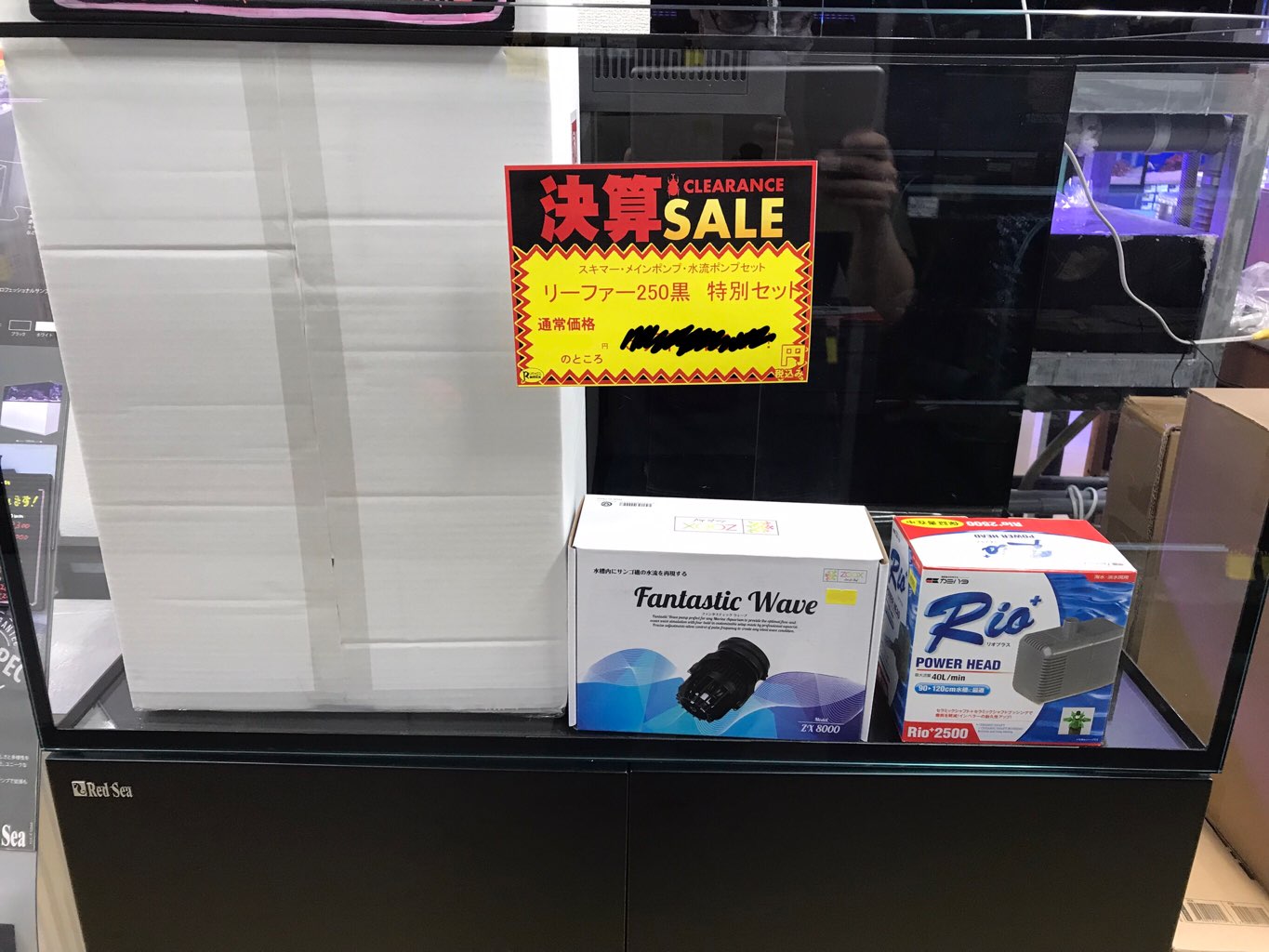 【インター店海水】セール後半に突入！