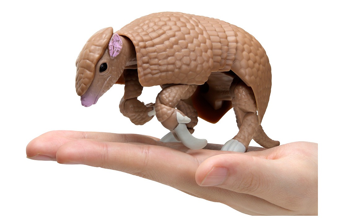 アルマジロを完全再現！ | 名古屋のペットショップRemix【リミックス