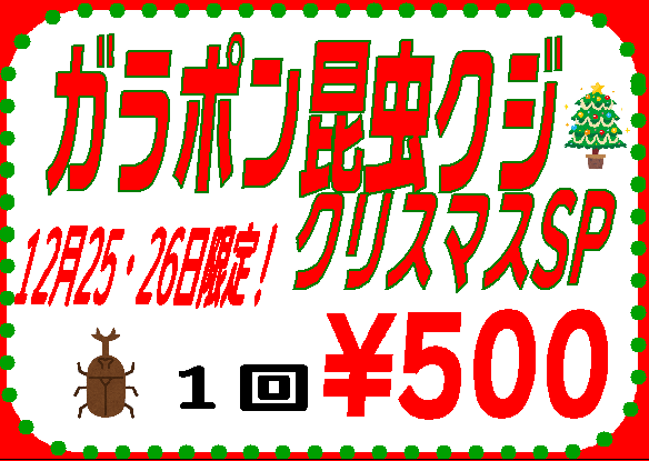 【インター小動物】クリスマスはガラポン昆虫クジ！