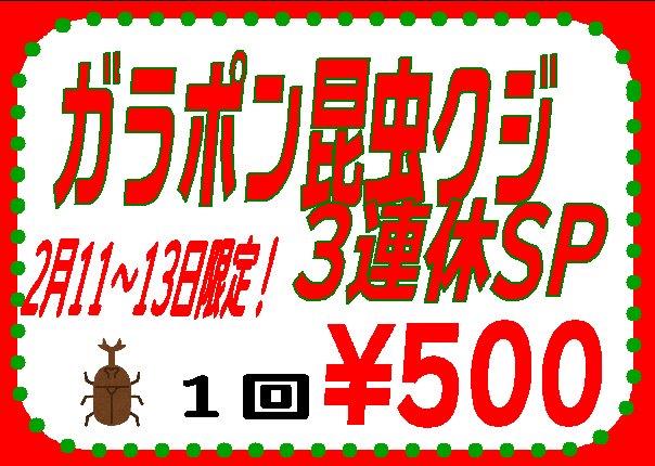 【インター小動物】週末３連休は昆虫クジ☆今年はポイントカードも始めます！