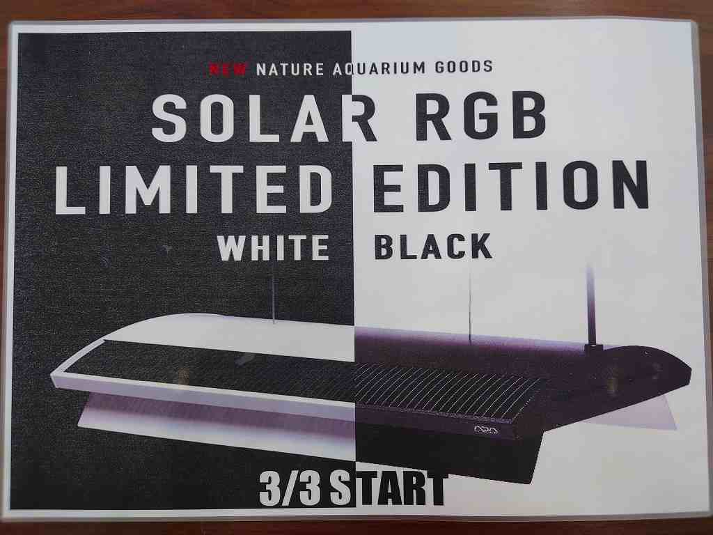 リミテッドエディション販売開始！