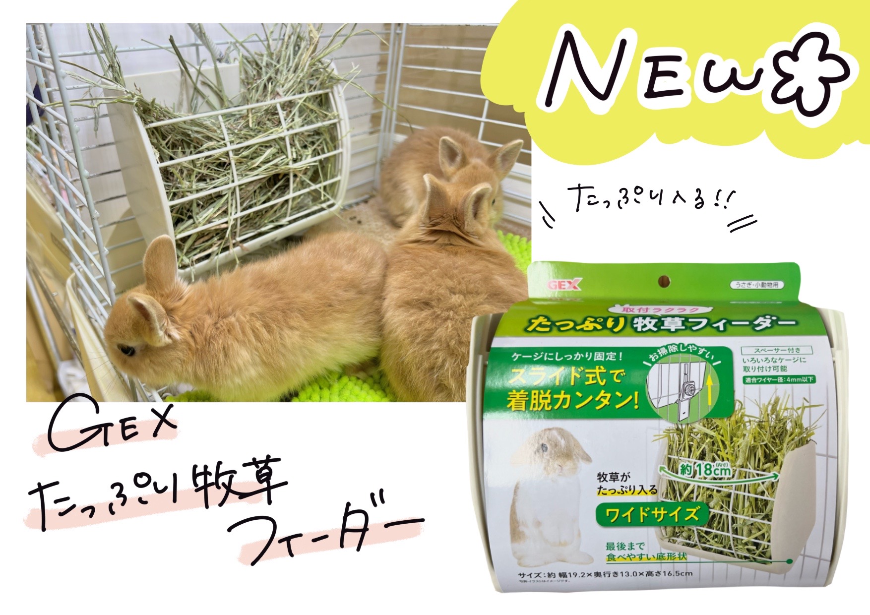 【インター小動物】GEXさんから新商品！たっぷり牧草フィーダー！【オススメ商品紹介】