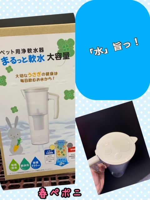 【春ペポニ】ペット飲料水革命！