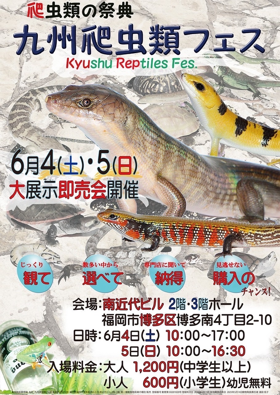 【春ペポニ】九州爬虫類フェスお品書きブログ！