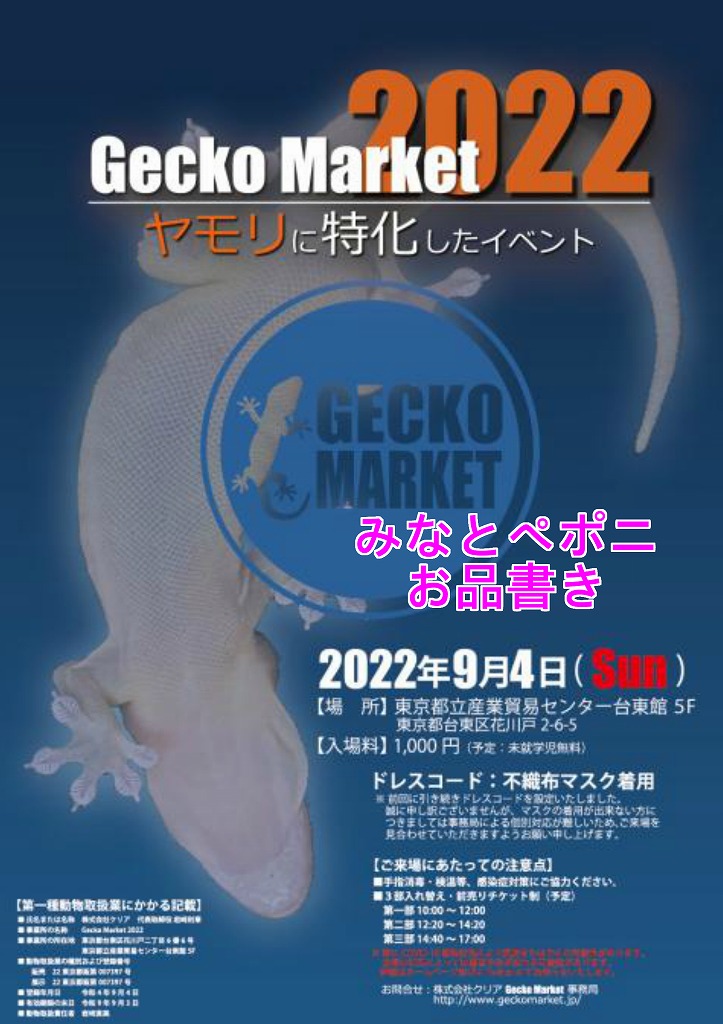 Gecko Marketお品書き＠みなとペポニ