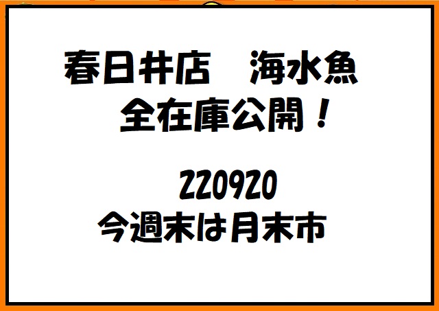 春日井店　海水ブログ　220920