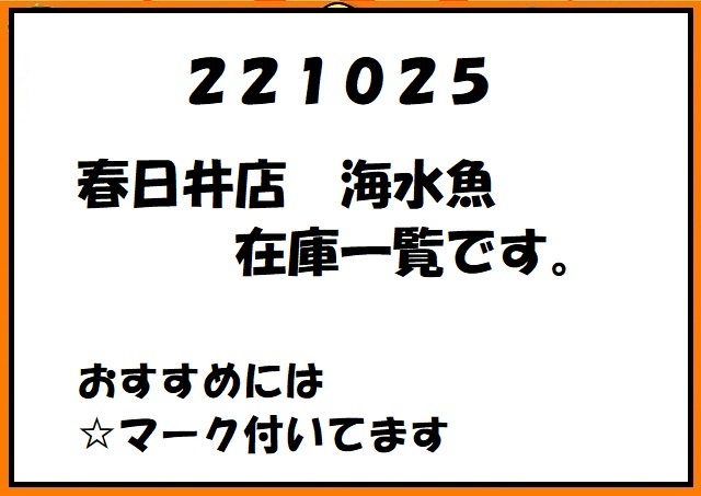 一覧！　春日井店　海水ブログ　221025