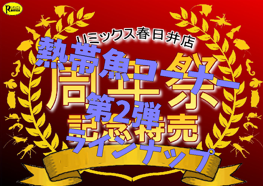 春日井店周年祭第2弾！