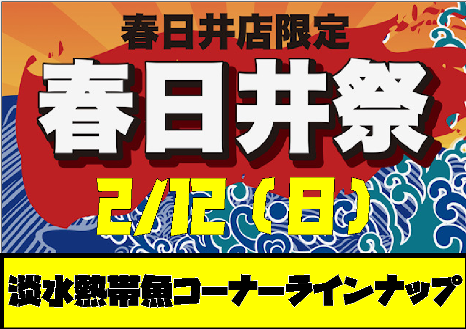 【春日井熱帯魚】いよいよ明日2/12は春日井祭り！