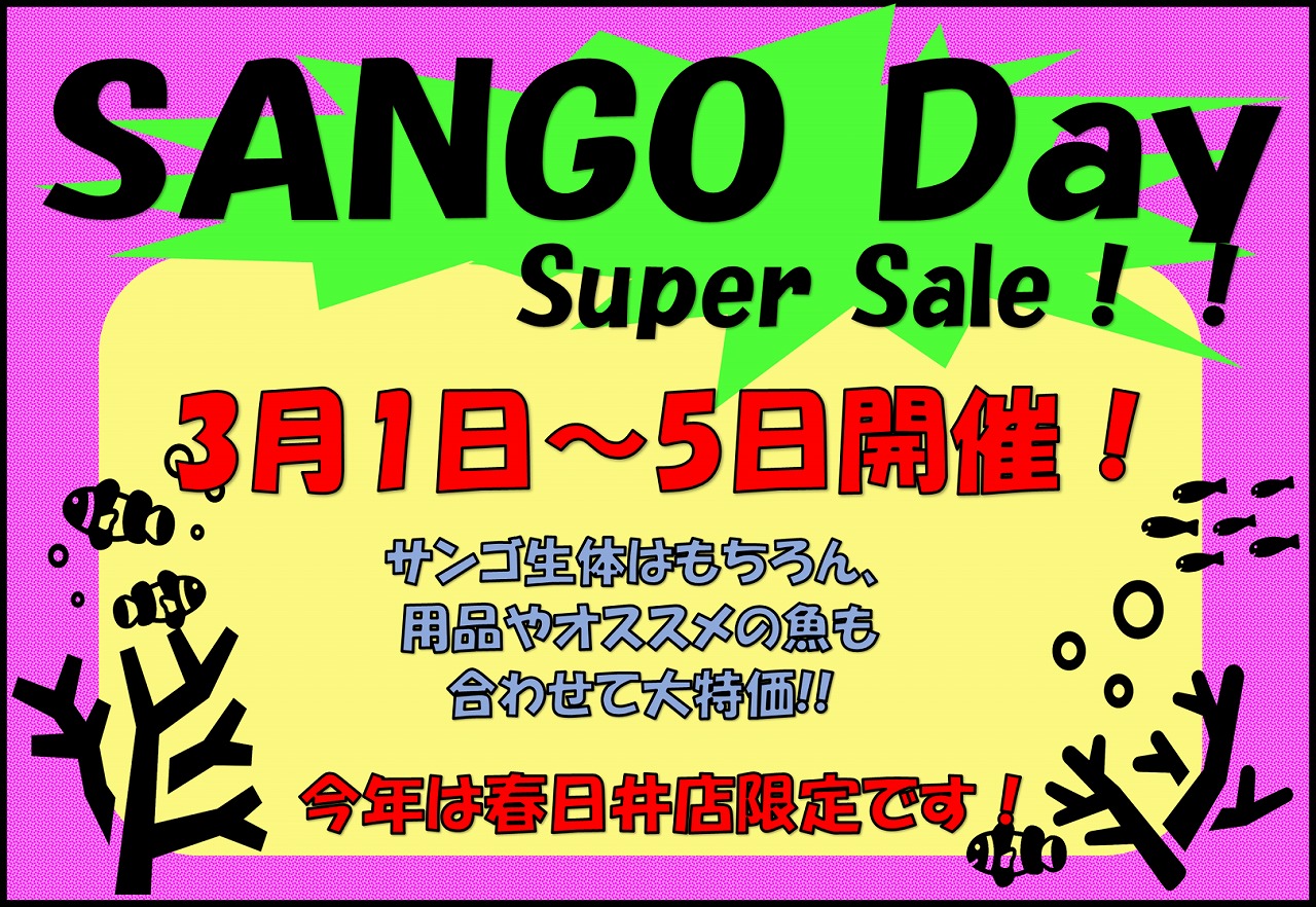 【春日井海水】本日ラスト！！SANGO Day Super Sale！！