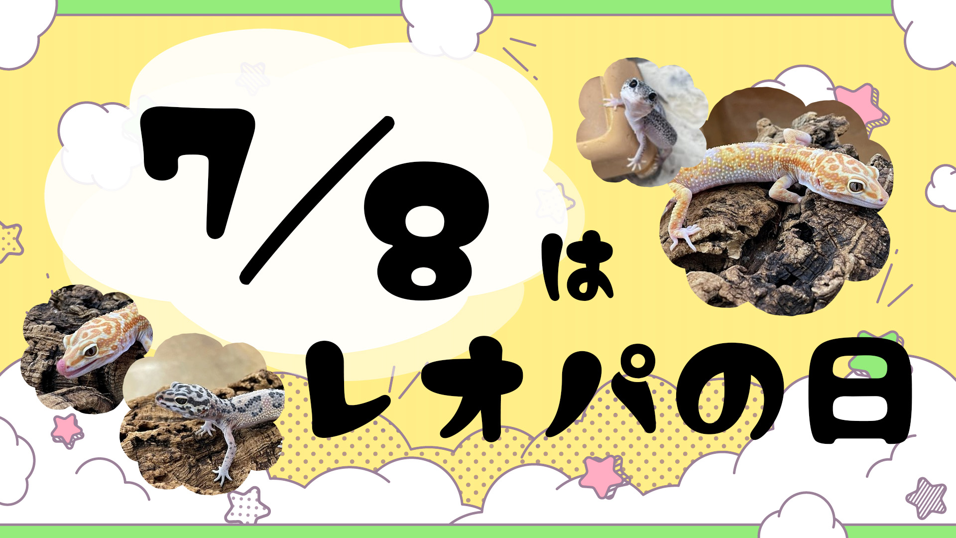 【春日井爬虫類】今週の土曜はレオパの日！！