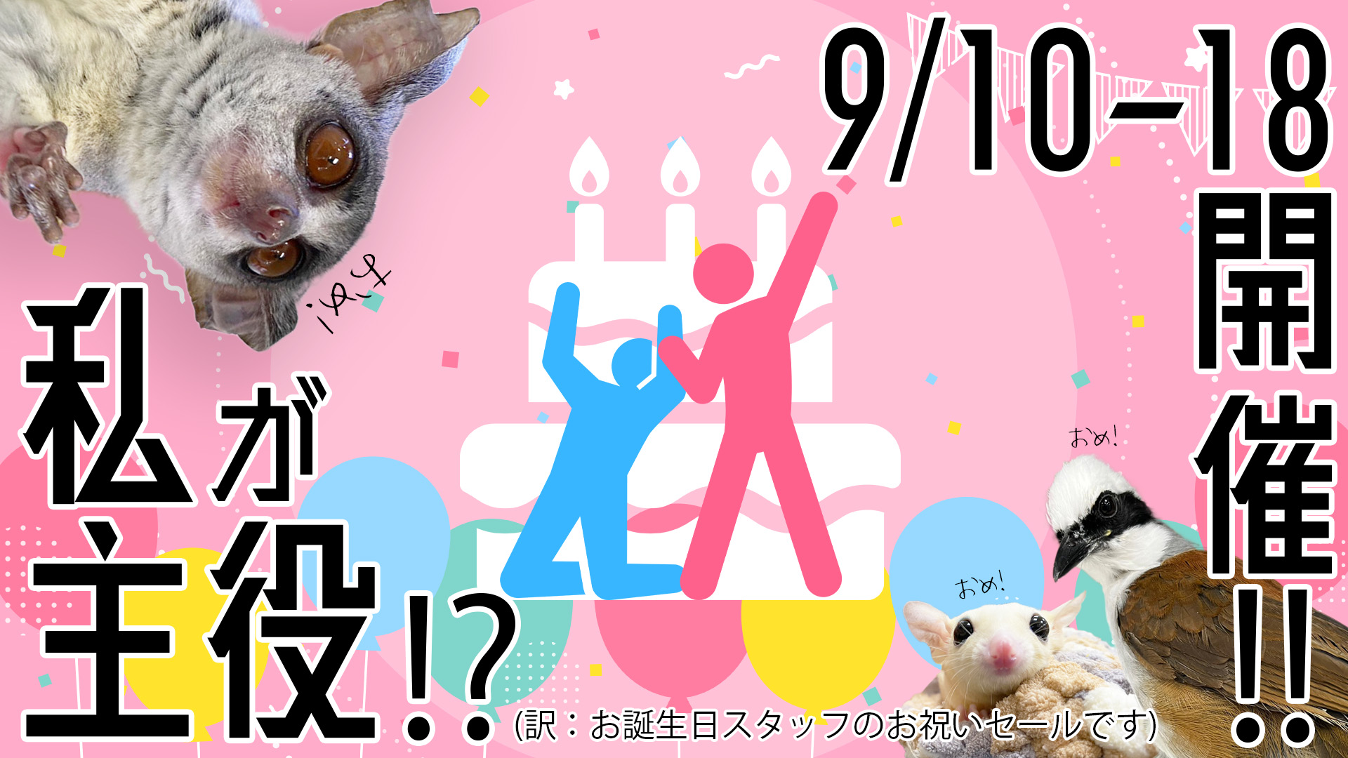【インター小動物】9月は我らの誕生祭！主役は、、、スタッフよぉ♪