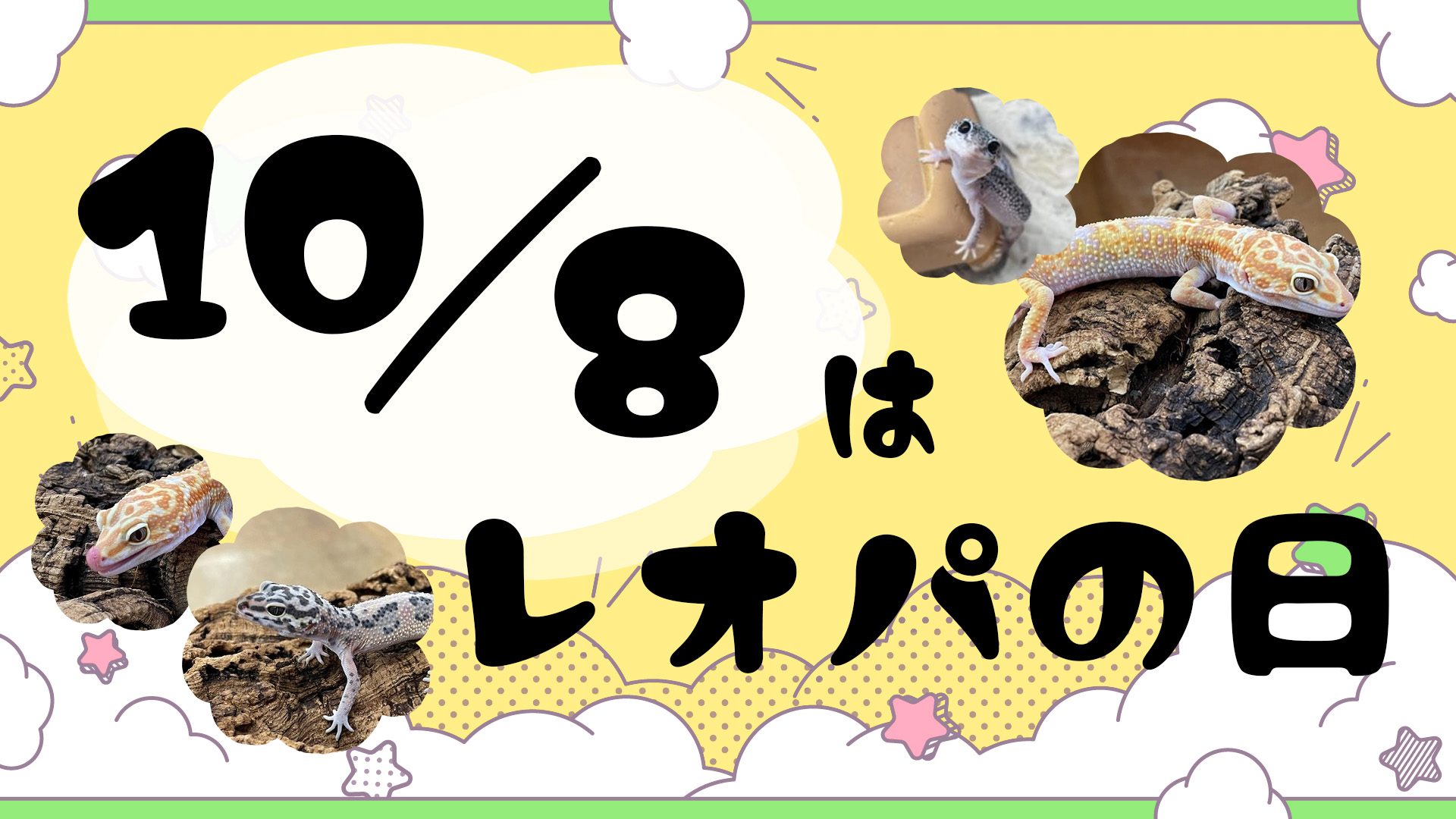 【春日井爬虫類】明日は！！！レオパの日°˖☆◝(⁰▿⁰)◜☆˖°