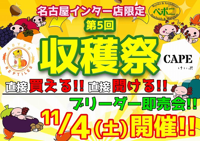 【インター爬虫類】カミングスーン『収穫祭』！！