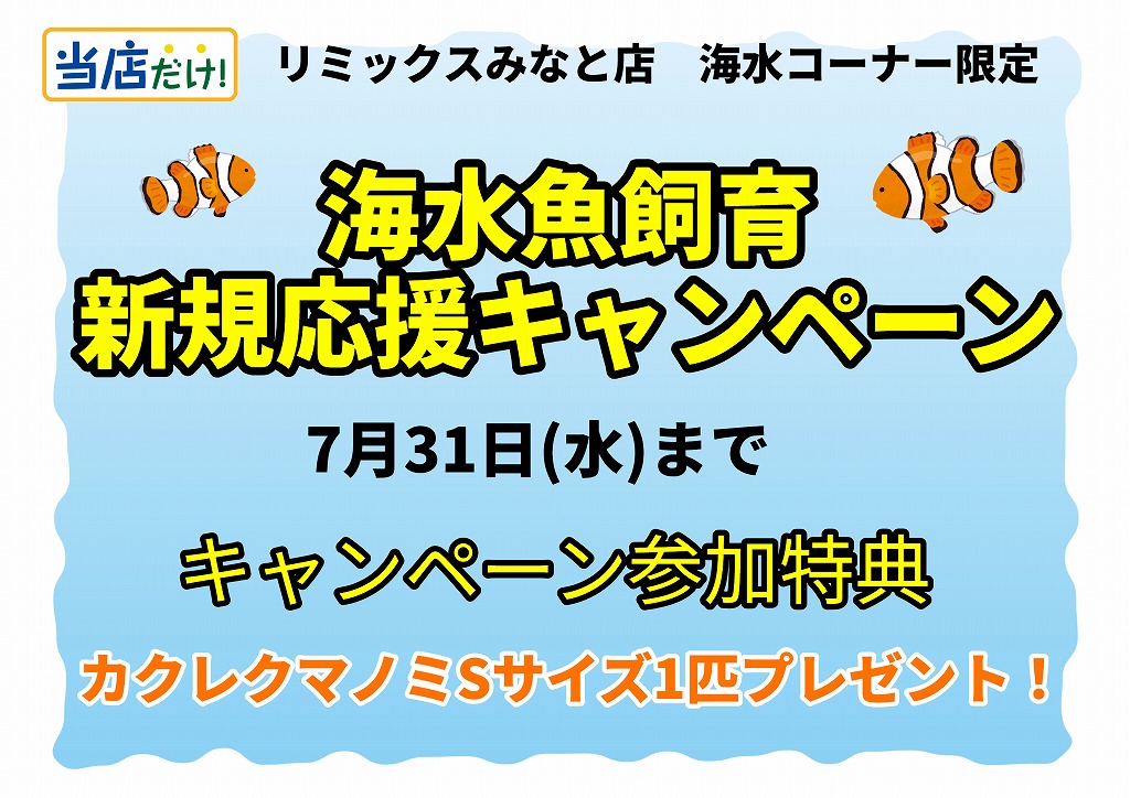 【みなと店】新規海水魚飼育キャンペーン！