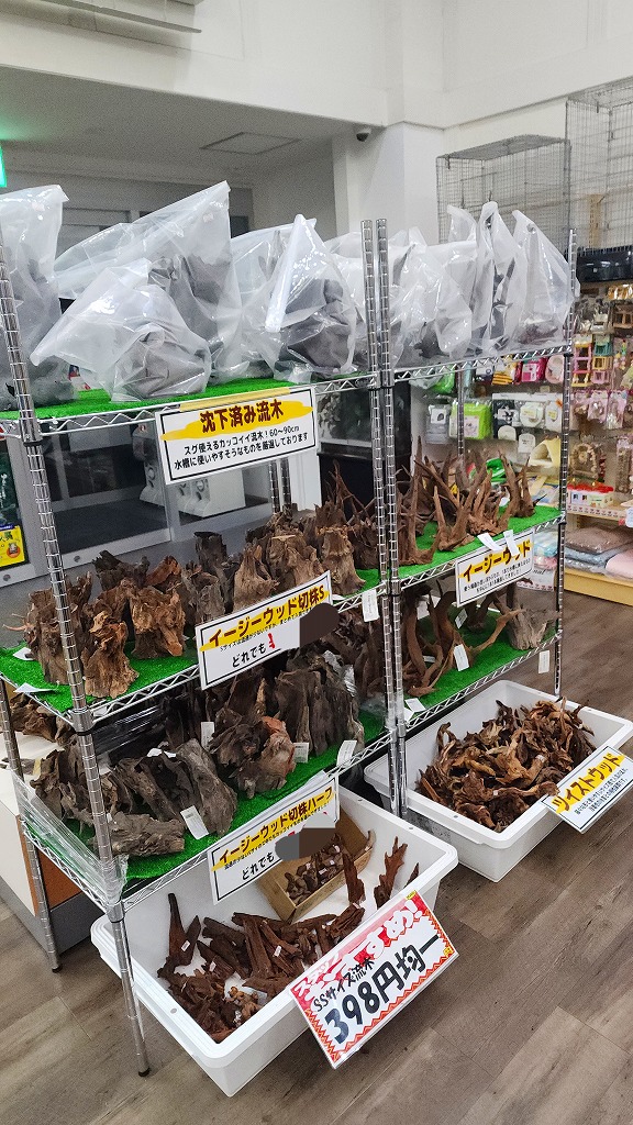 春日井祭！【アクア用品編】 | 名古屋のペットショップRemix