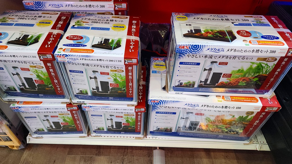 春日井祭！【アクア用品編】 | 名古屋のペットショップRemix