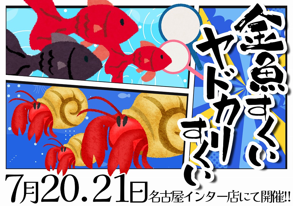 【インター金魚】今月もやるよぉ！金魚すくい！！