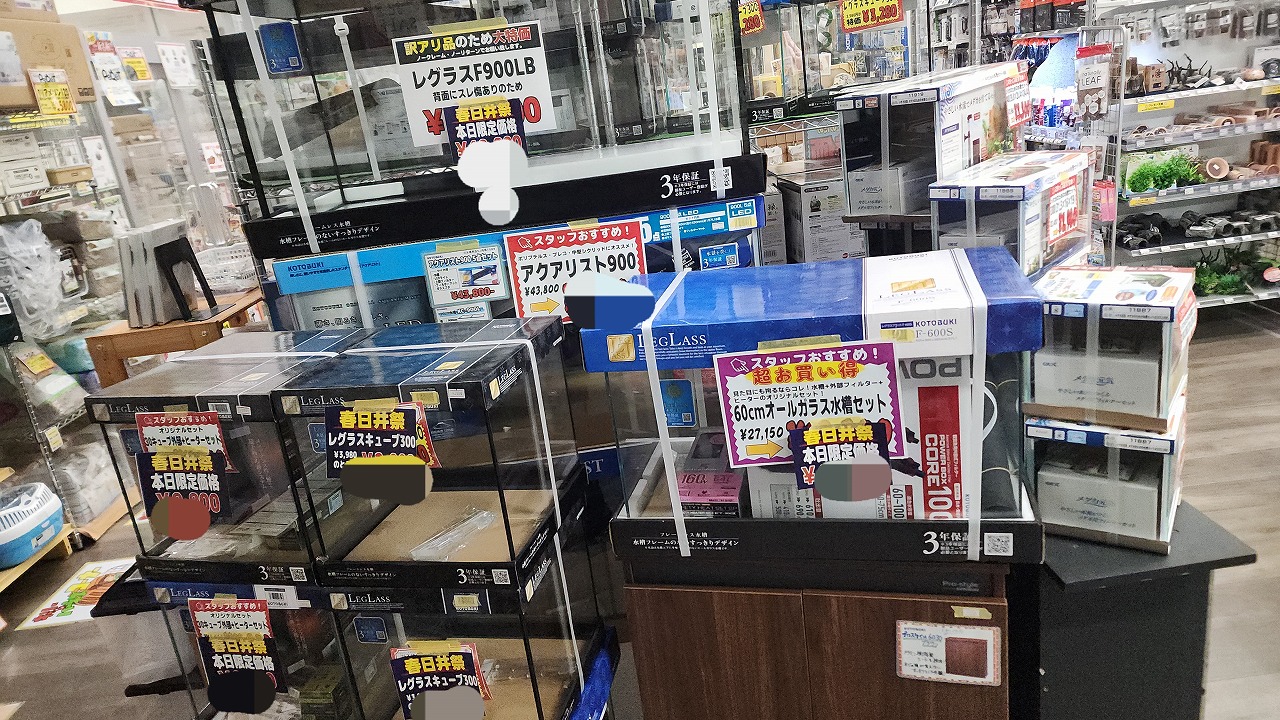 画像に alt 属性が指定されていません。ファイル名: 20250412_210949.jpg