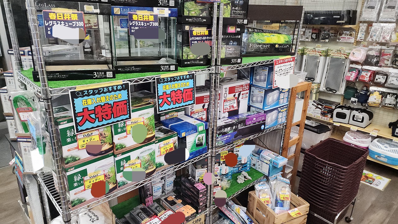 画像に alt 属性が指定されていません。ファイル名: 20250412_211009.jpg