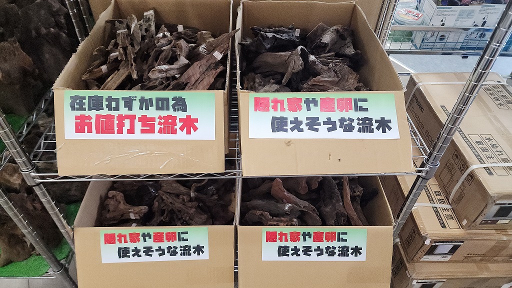 お値打ち流木入荷！ | 名古屋のペットショップRemix【リミックス・ペポニ】