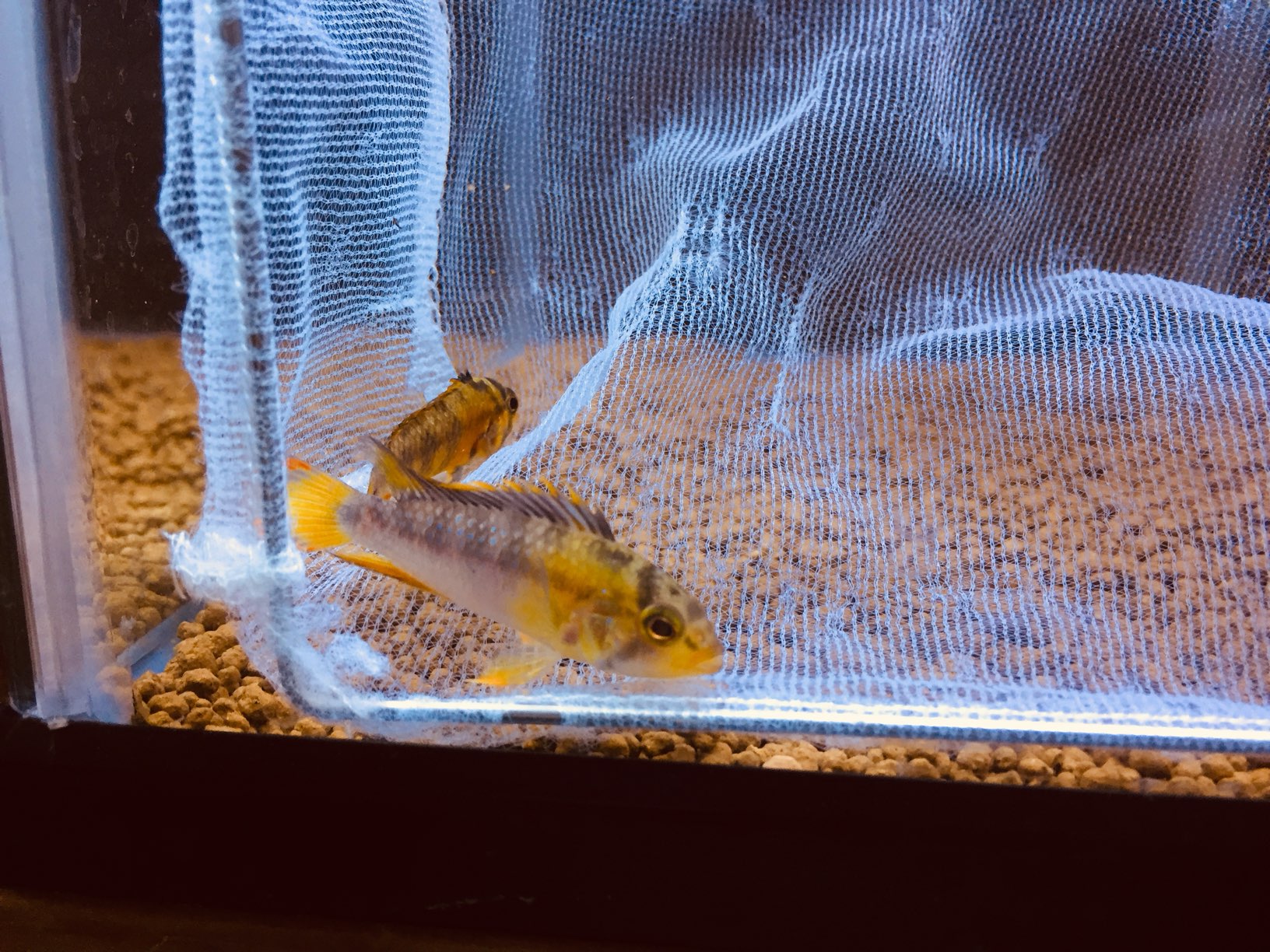 画像に alt 属性が指定されていません。ファイル名: 7_IMG_0621.jpeg