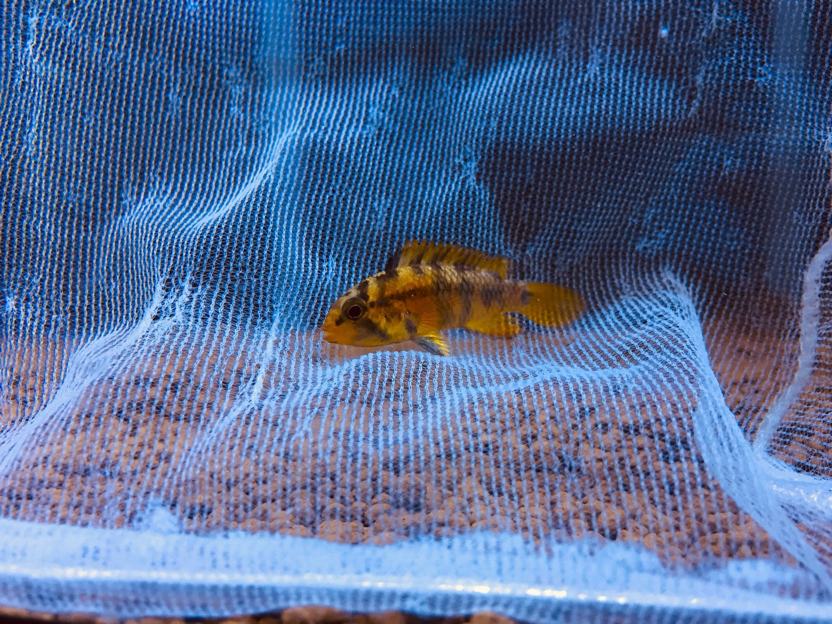 画像に alt 属性が指定されていません。ファイル名: 8_IMG_0626.jpeg