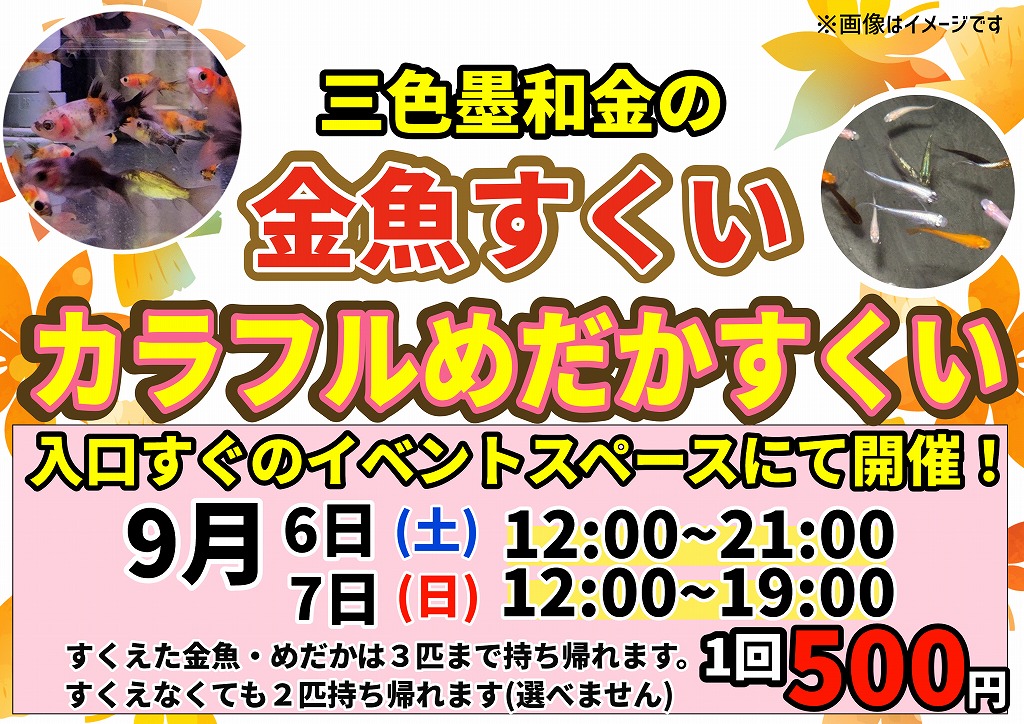 金魚・めだかすくい再来！