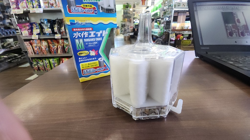 春日井祭【アクア用品】