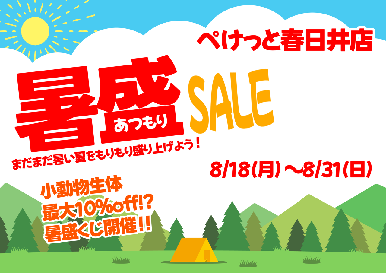 【春日井ぺけっと】暑盛りSALEでおトク激盛り🉐✨【SALE案内】