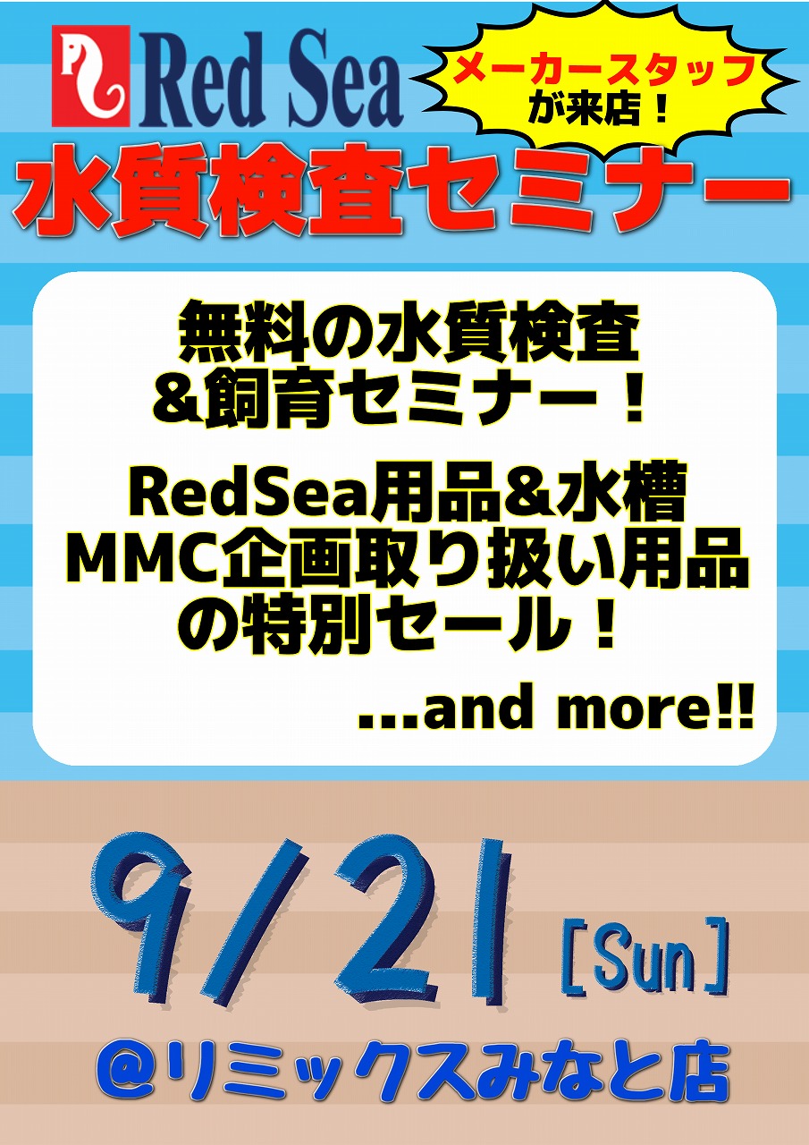 みなと海水】イベント告知！！ | 名古屋のペットショップRemix