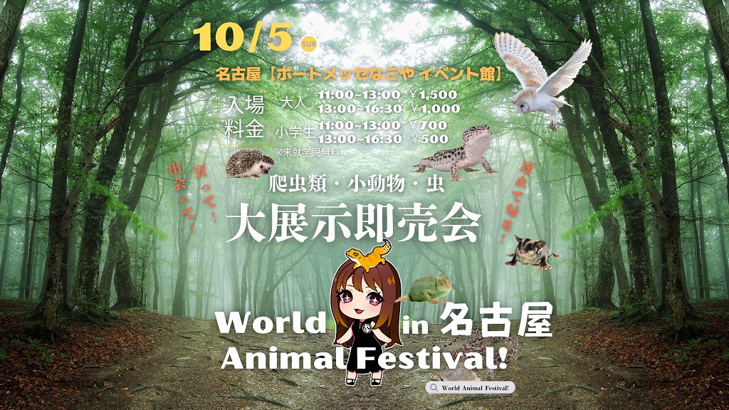 【ぺけっと春日井】WAF！出店します！！【イベント情報】