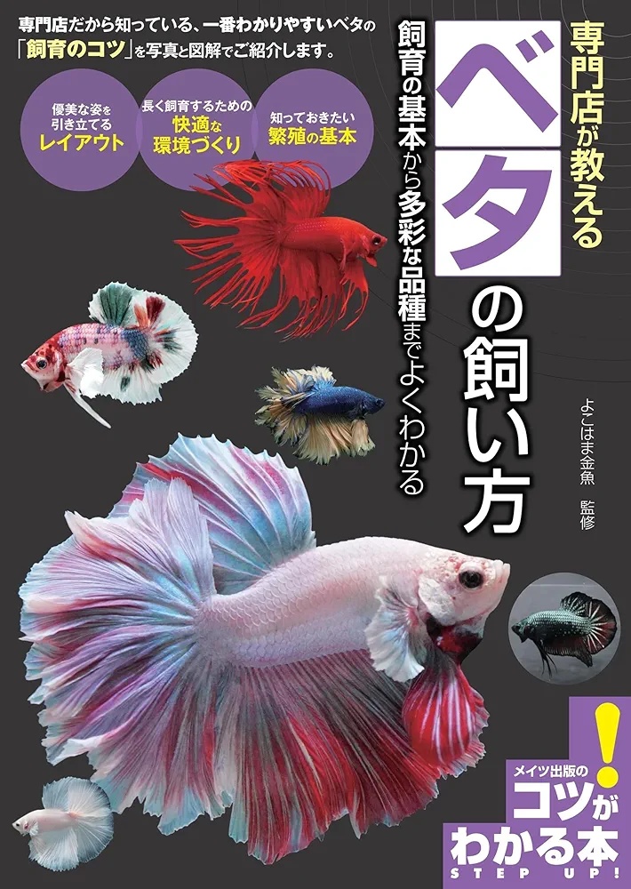 熱帯魚 ベタ セール開催中 第9回ベタフェスティバル開催決定！春日井熱帯魚 | 名古屋のペット
