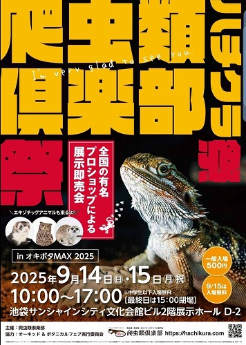 【小動物ぺけっと】ハチクラ祭お品書き【イベント情報】