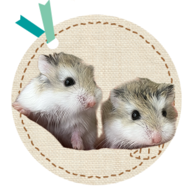 【春日井ぺけっと】ロボロボロボ！【哺乳類】