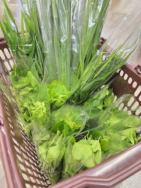 【春日井ぺけっと】新鮮！生草おやつ入荷です♪【ぺけっと農園】