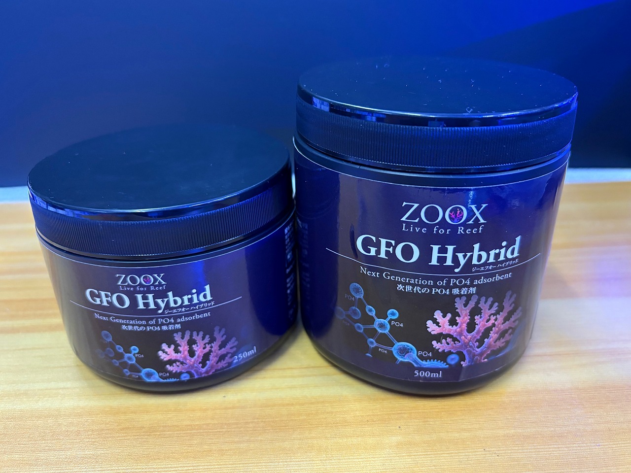 【みなと海水】新商品と生体入荷❗️