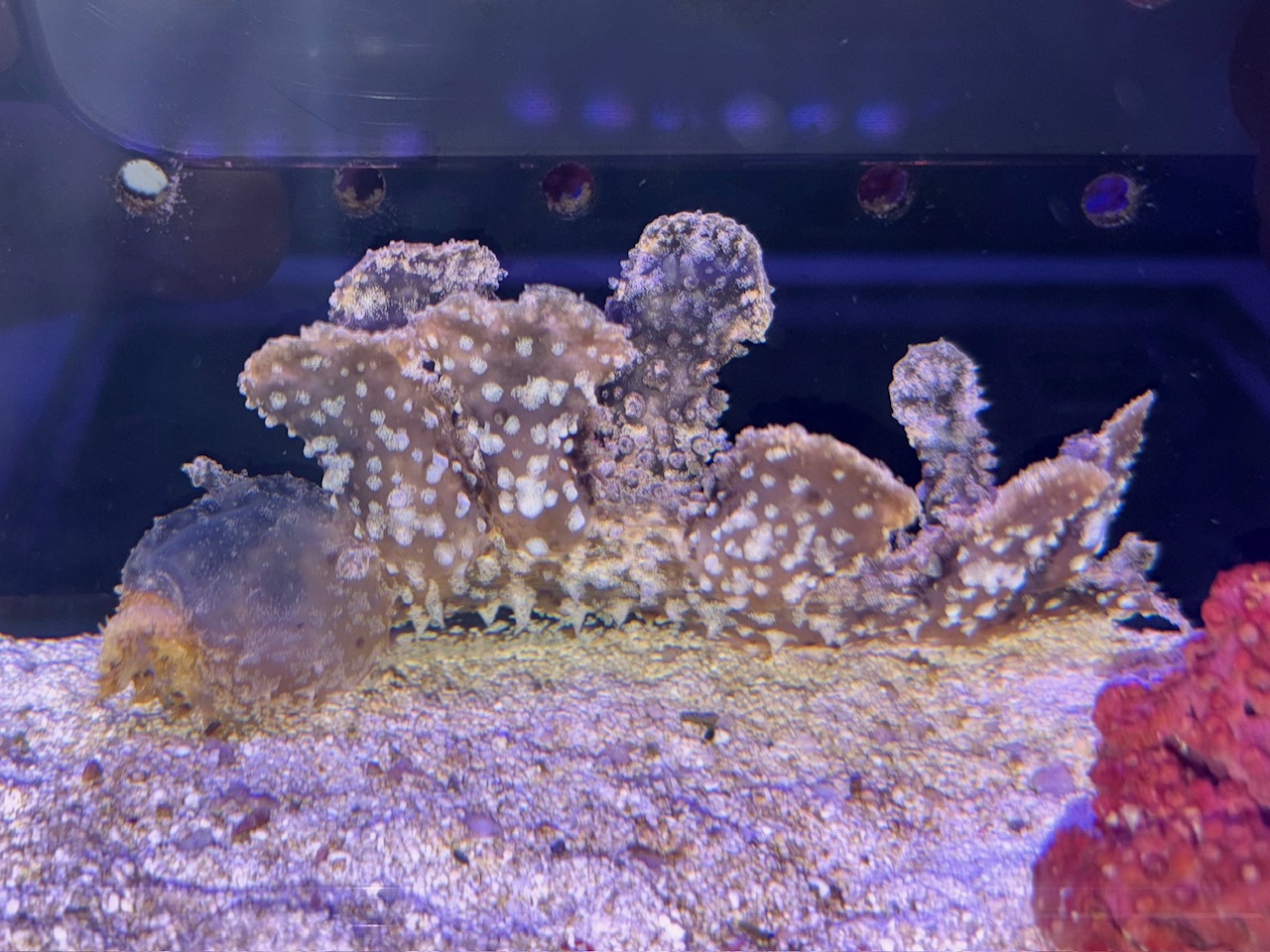 【みなと海水】メリべ❗️