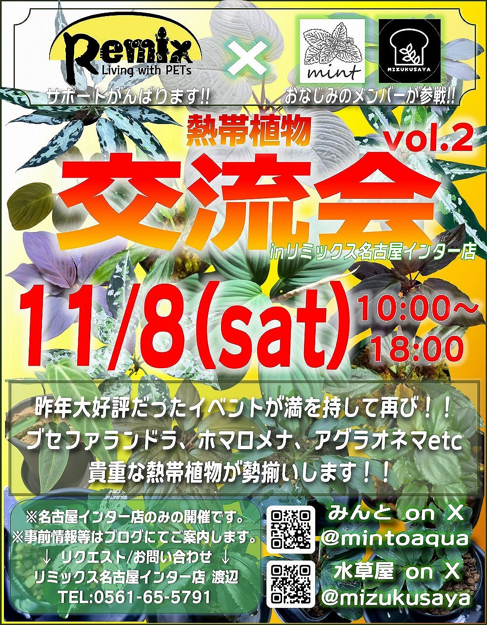 熱帯植物交流会のレギュレーションについて
