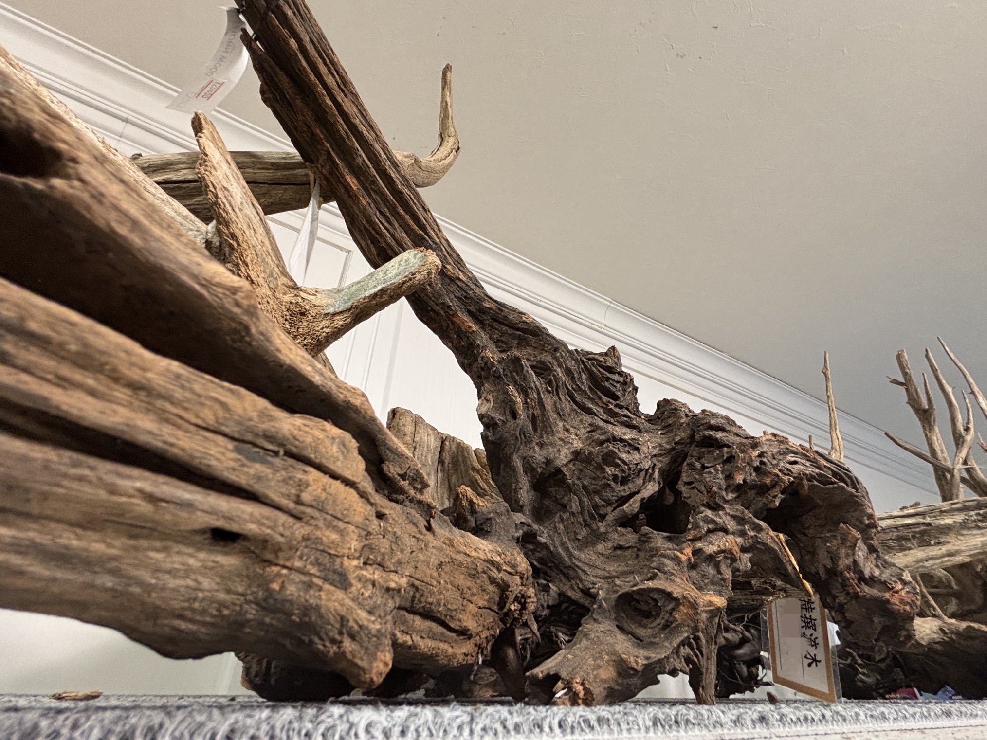 【春日井和金】3連休特売の時間だ！！【用品】