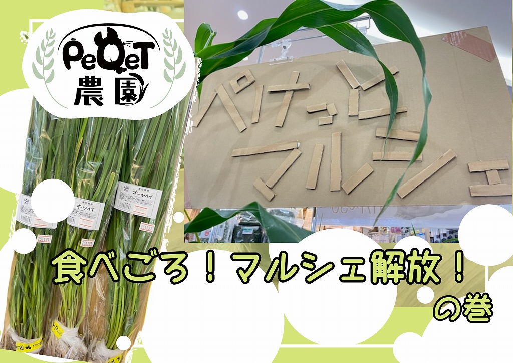 【春日井ぺけっと・用品】マルシェ感出してみた。【ぺけっと農園】