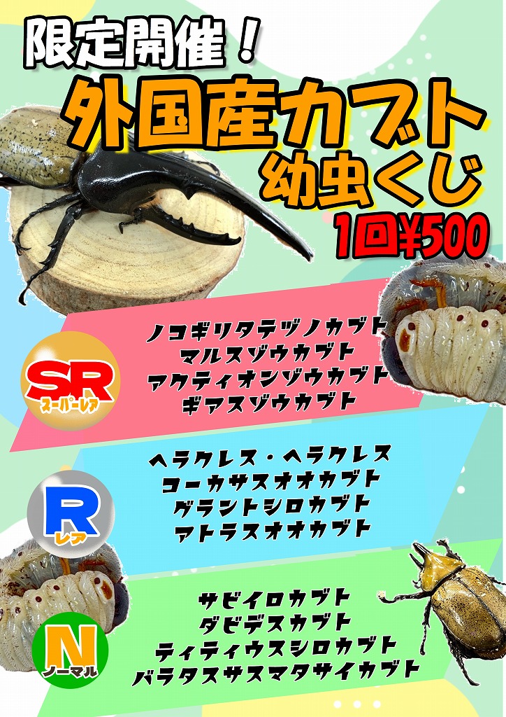 【春日井ぺけっと・昆虫】ガチャガチャぽん！限定開催！昆虫ガチャくじ！