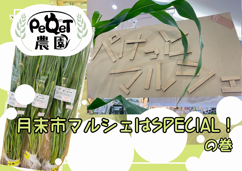 【春日井ぺけっと・用品】今週のマルシェは、、、！？【ぺけっと農園】