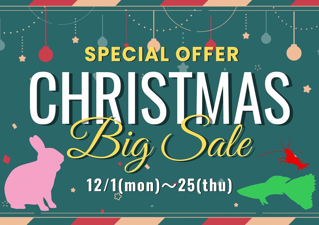 【春日井ぺけっと】クリスマスも本番よっ！！【小動物用品】