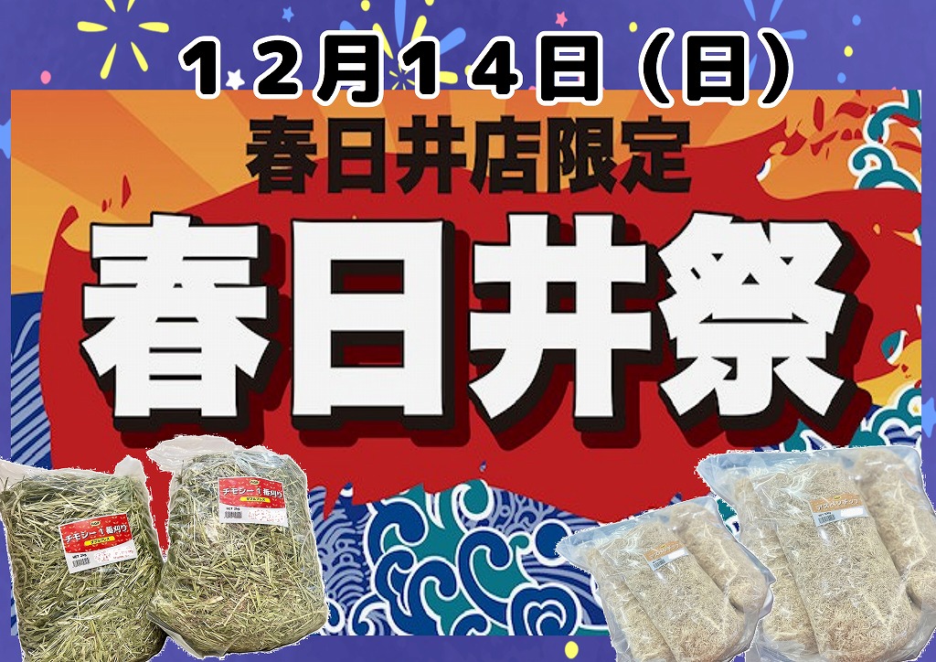 【春日井ぺけっと・用品】明日は春日井祭だぞぉぉぉぉおおおお！！！！